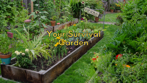 Your Survival Garden